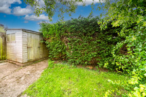 GARDEN- click for photo gallery
